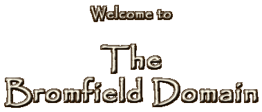 Welcome to The Bromfield Domain!